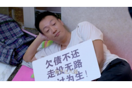 辽宁区域现场催收招聘：职业机遇与挑战并存